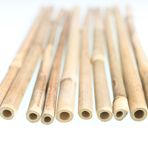 Drinking Straws - Bamboo by Alambika - Alambika Canada
